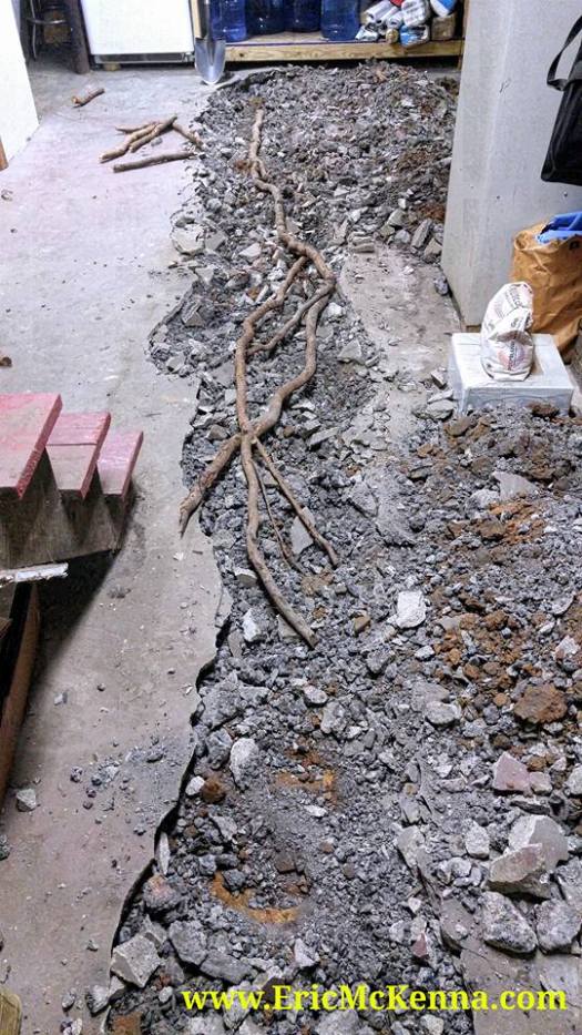 10393744_10205101614284548_211992119147648177_n