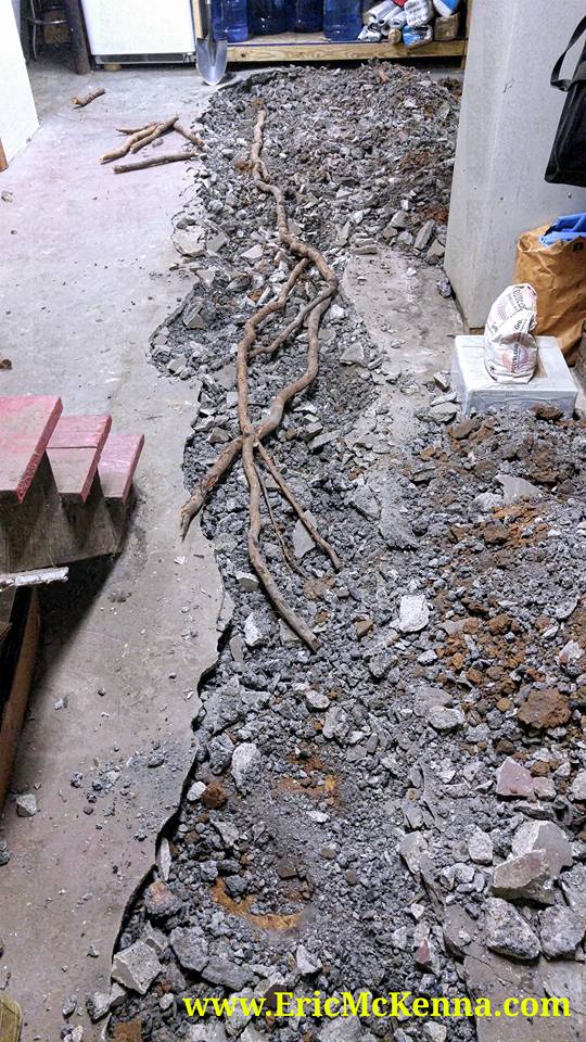 10393744_10205101614284548_211992119147648177_n